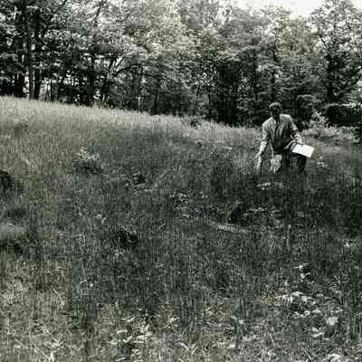 Taconic Road Cemetery Field Markers