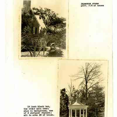 Motter Residence North Maple Avenue D