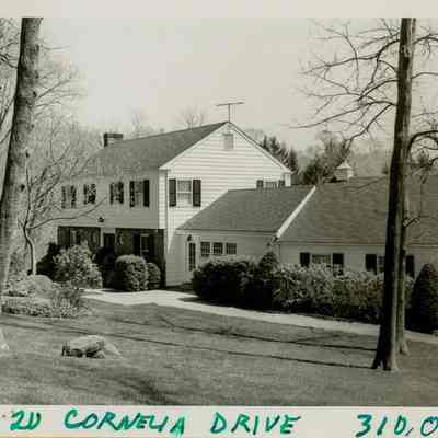 20 Cornelia Drive B
