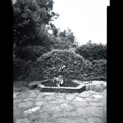 Dominick Estate Stanwich Road Negative C