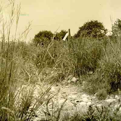 First Landing B