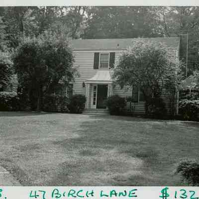 47 Birch Lane