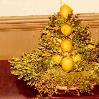 Bush-Holley House Christmas Decorations (Lemon Centerpiece)