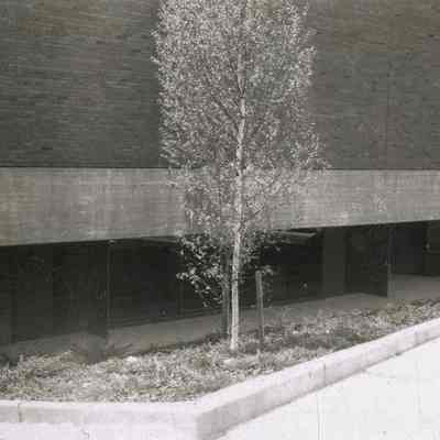Greenwich Library Landscaping Work B