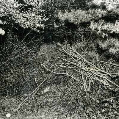 Dumped Debris in Tomac Cemetery