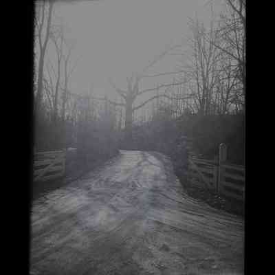 Witherbee Estate Round Hill Road Negative E