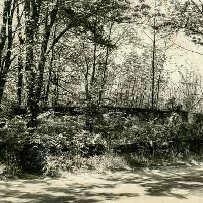 Brown Cemetery