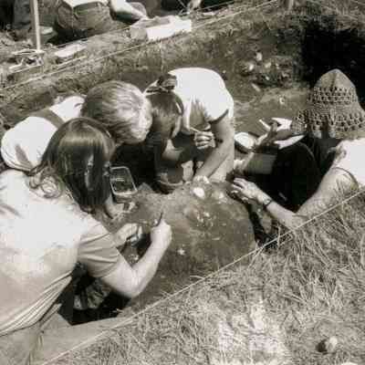 Archaeological Dig
