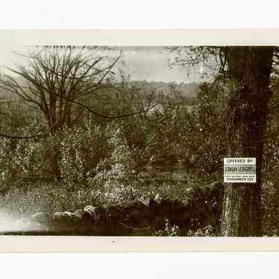 Livingston Subdivision Woods Clapboard Ridge Road