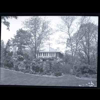 Sargent Estate Meadow Lane Negative B