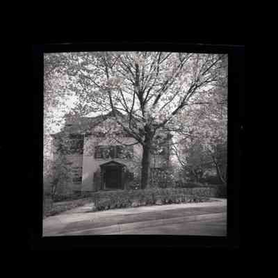 10 Lenox Drive Negative