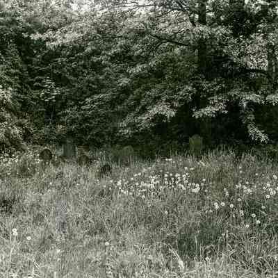 Knapp Cemetery B