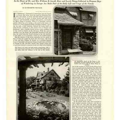 Treasure House Bush Avenue Article 1