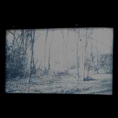 Dominick Residence Stanwich Road Negative A