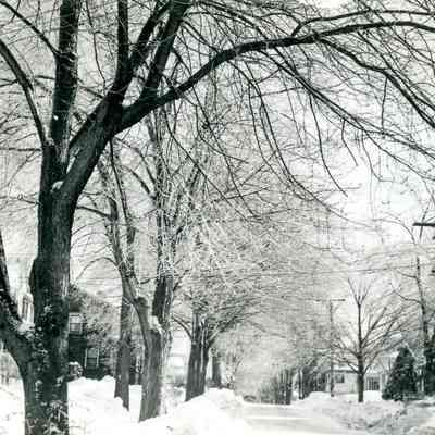 Snowy Street