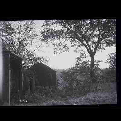 Scott Estate Old Mill Road Negative E