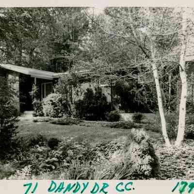 71 Dandy Drive