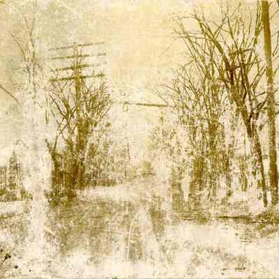 Downed Telegraph Poles in Ice Storm A