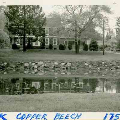 36 Copper Beech Road A