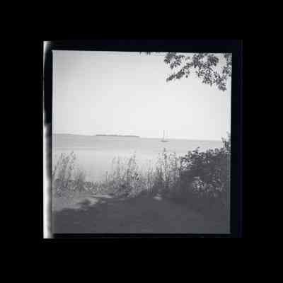 Hyde Estate Field Point Park Negative C
