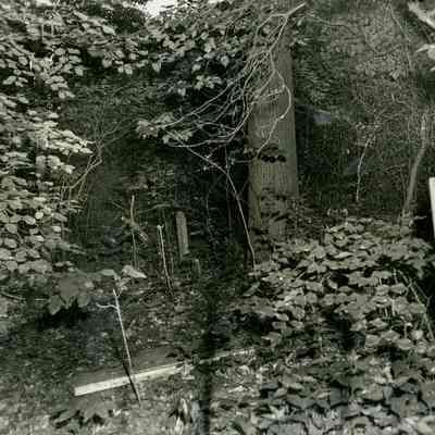 Debris and Overgrowth in a Cemetery