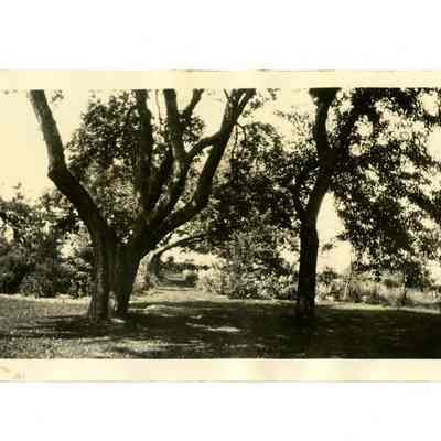 Whitman Residence Cherry Valley Road C