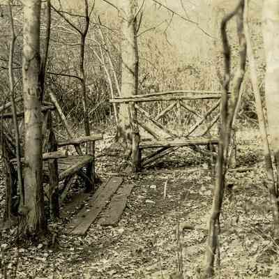 Nature Alcove B