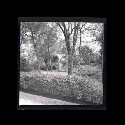 Potter Residence Alden Road Negative A