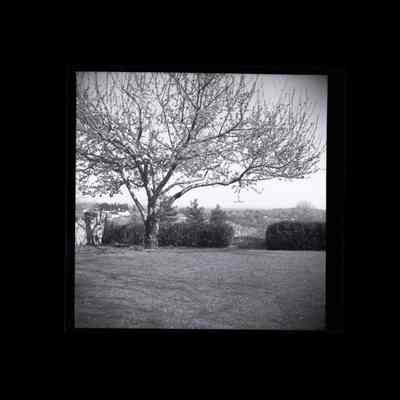 Parmentier Residence Dairy Road Negative D