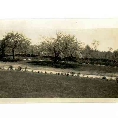 Mathews Residence Howard Road G
