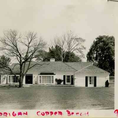 Harrigan House Copper Beech Road