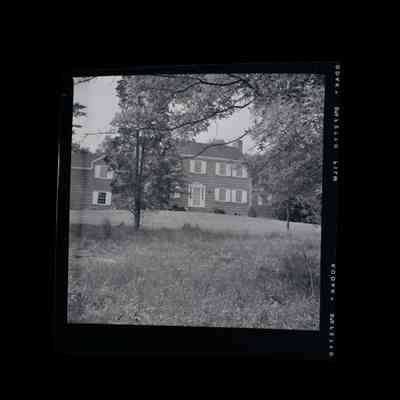 Douglas Estate Stag Lane Negative F