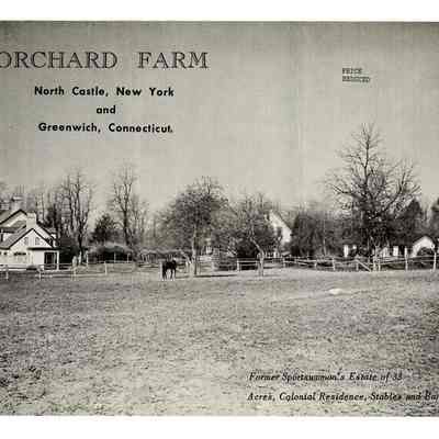 Orchard Farm King Street 1