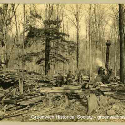 Lumbering Operation Near Arcadia