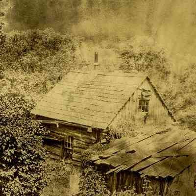 Abandoned Shack
