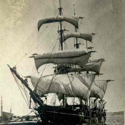 The "Bounty: A