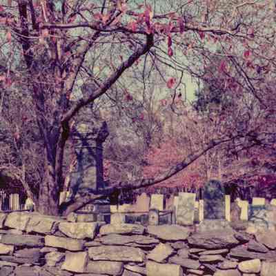Cemetery and Stonewall