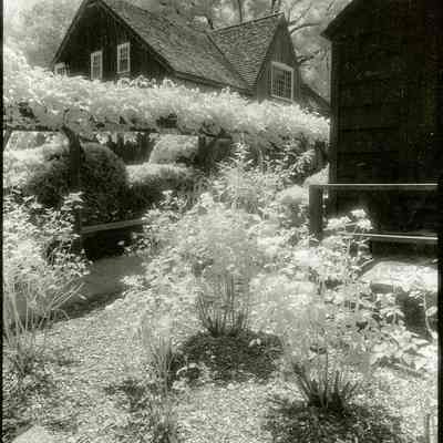 Bush-Holley House Garden I