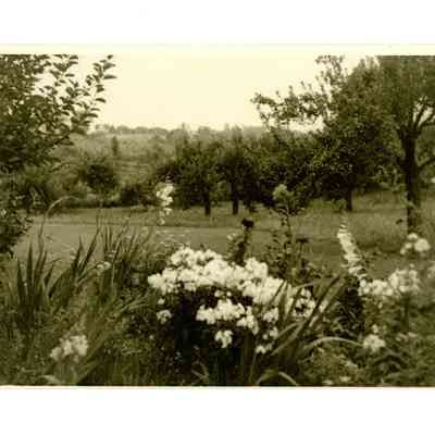 Cooke Estate Taconic Road D