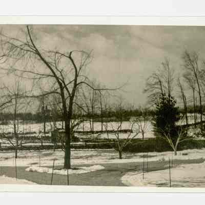 Kinney Estate Storm Damage Cherry Valley Road G