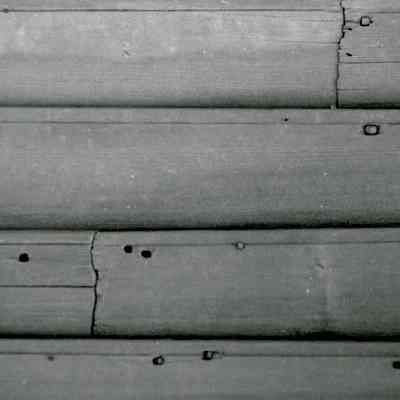Bush-Holley House Siding