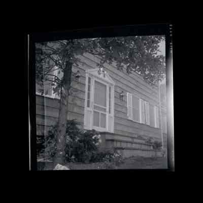 Douglas Estate Stag Lane Negative D