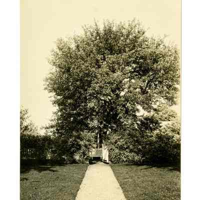 The Orchards Round Hill Road L