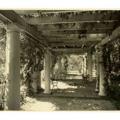 Garden Patio Belle Haven