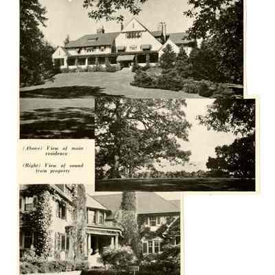Knollcrest Belle Haven B