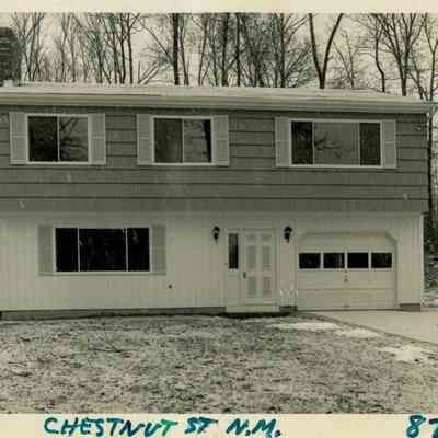 Slink House Chestnut Street