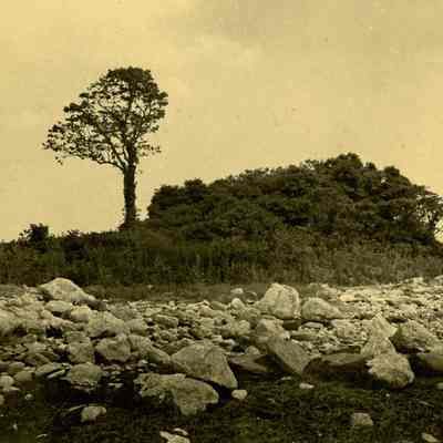Wee Captain's Island C