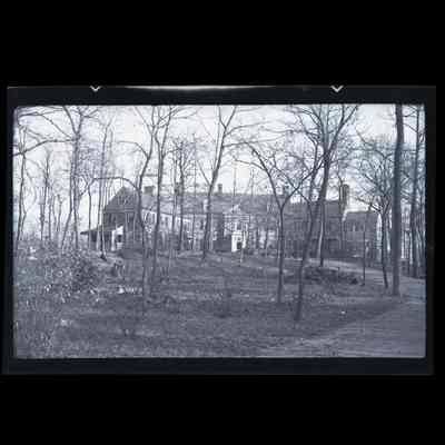 Wishing Woods Husted Lane Negative