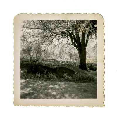 Ely Estate Meadow Lane H