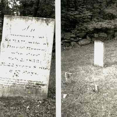 Brown Family Plot Graves